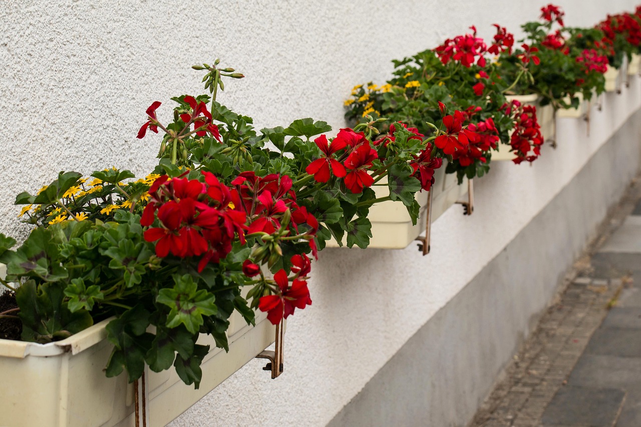 Easy DIY Window Box Ideas for Your Home